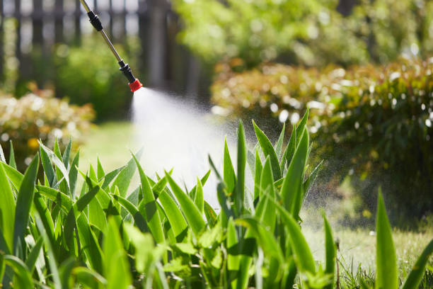 24/7 Emergency Mosquito Control experts in Salem, SD